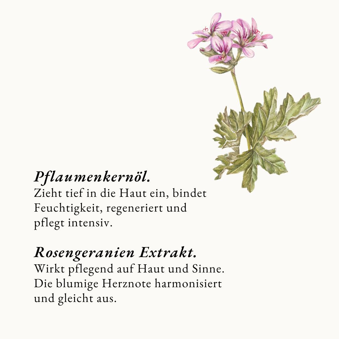 Infografik über die Kerninhaltsstoffe des Körperöls von Botanik Atelier: Pflaumenkernöl und Rosengeranien Extrakt.